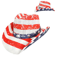 PATRIOTIC WESTERN USA FLAG PAPER BRAID COWBOY HAT